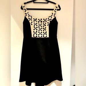 Sachin & Babi NWOT embroidered dress. Sz 6